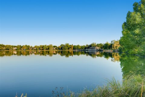 Lakeside park with tall grasses and trees under blue skies.
